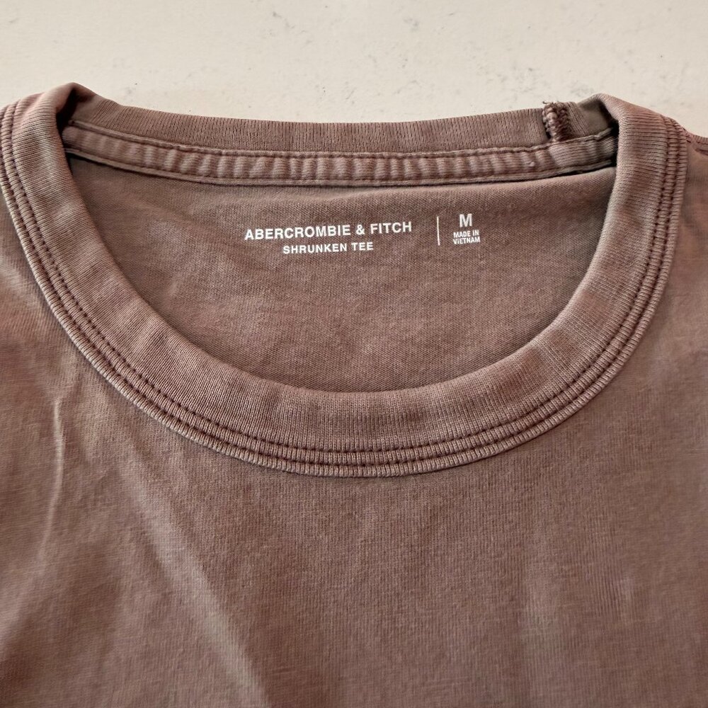 Abercrombie Shrunken Fit Tee Brown